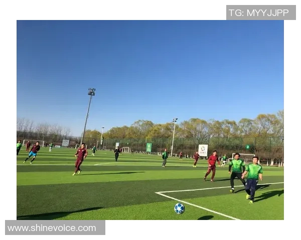 刘强独家分享足球心得与技巧助你提升球技的秘诀与经验