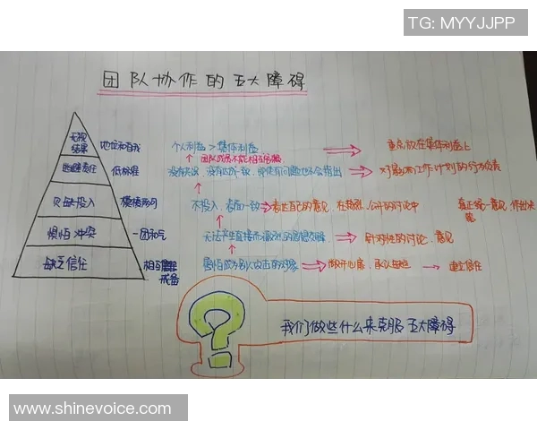 南京排球队团队协作引发热议争议背后的默契与挑战分析