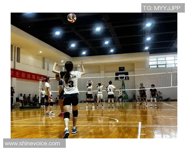 南京排球队的速度革命引发热议推动排球运动新发展