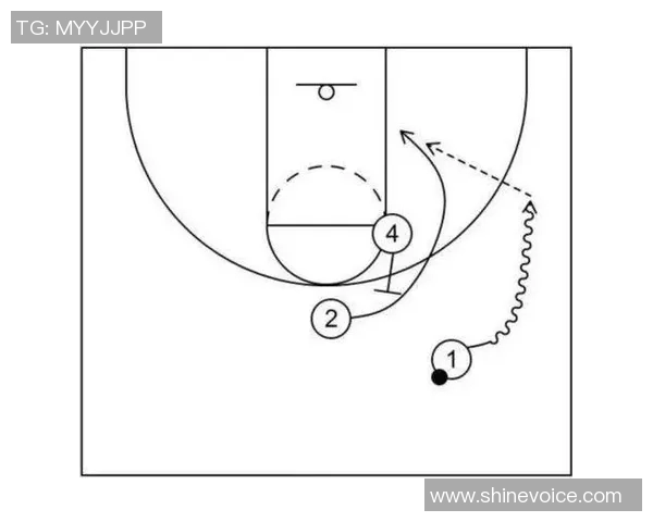 周伟独家篮球心得分享探索技巧与战术的完美结合