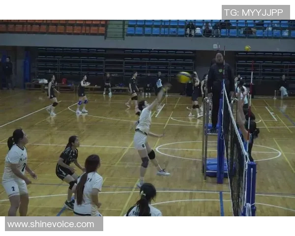 广州排球队个人能力提升引发热议新变革探讨 广州排球队个人能力提升引发热议新变革探讨