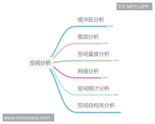 深入探讨V5在数据分析中的速度表现与优化策略