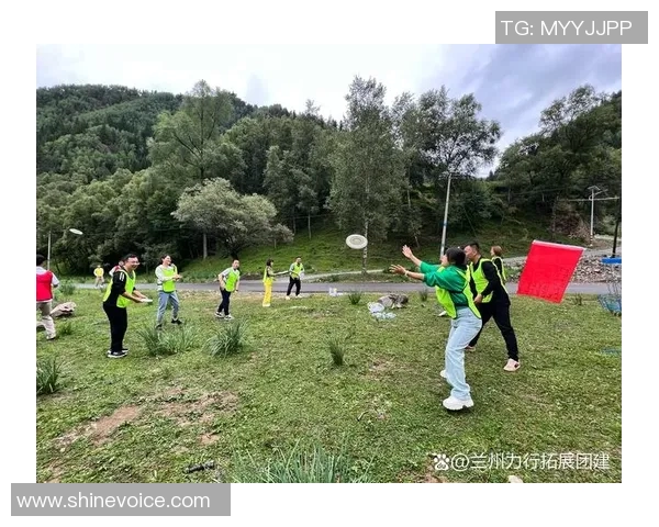 飞盘竞技新风潮：深入解析北京飞盘队的战术布局与团队协作