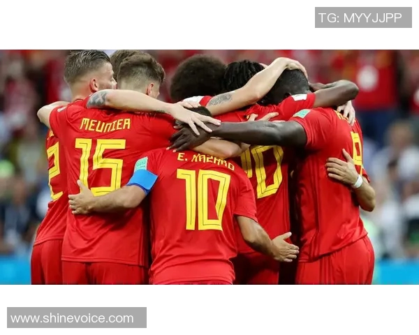 比利时与日本河马的精彩对决解析与战术分析