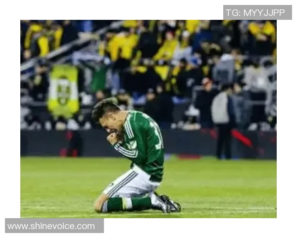 燕豪芬与海牙的精彩对决揭示了足球战术的博弈与球队实力的较量