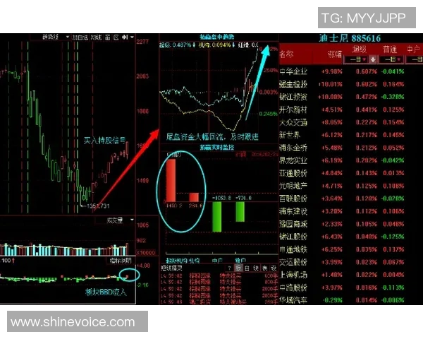 里昂主力阵容全面解析及其在比赛中的表现分析