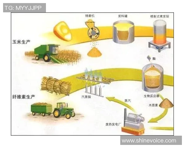 加维在国际舞台上的崛起与影响力分析及未来发展趋势探讨