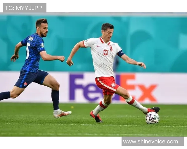 芬兰与匈牙利足球赛精彩对决结果揭晓引发热议