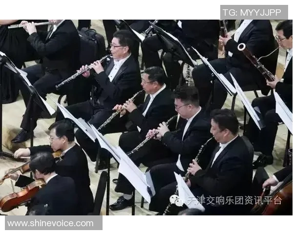 德国与奥地利实时对决精彩回顾与分析