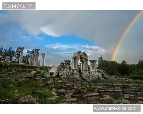自由与天空的历史交锋探讨与反思之旅
