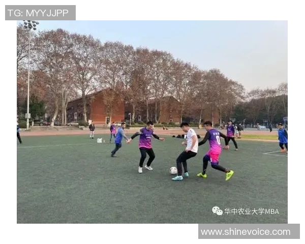 杭州篮球队包夹战术解析：深度剖析其背后的策略与执行技巧MBA