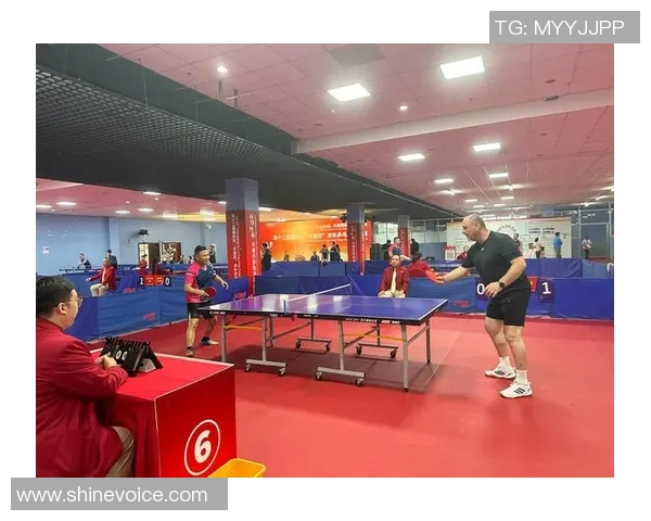 乒乓球团队协作实力榜单揭晓深圳乒乓球队荣获第九名佳绩