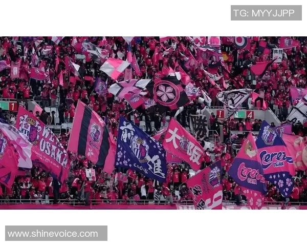 大板樱花与湘南海洋的激烈对决展现足球魅力与团队精神