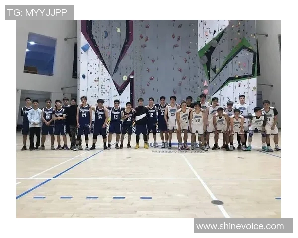 成都乒乓球队区域防守策略深度解析与实战应用探讨MBA 成都乒乓球队区域防守策略深度解析与实战应用探讨MBA