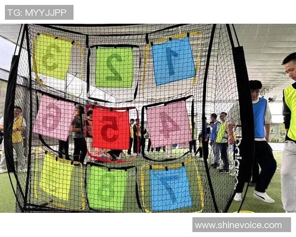 飞盘灵活性排行榜揭晓杭州飞盘队表现卓越名列前茅MBA