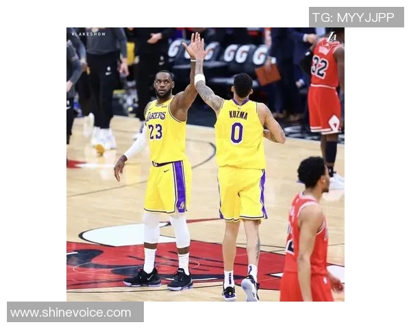 旌德篮球明星的成长之路与辉煌成就探秘