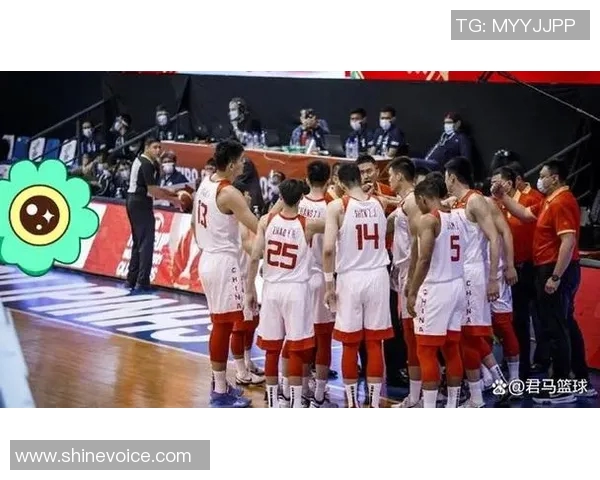 成都篮球队个人能力排名创新高引发热议球迷期待新赛季表现